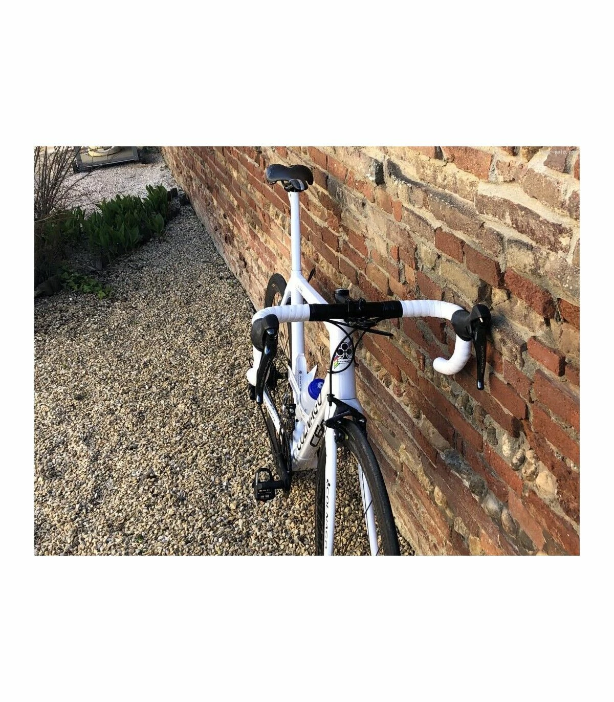 Vélo De Course Colnago - 54 - 29" 5 Vélo De Course Colnago - 54 - 29" – Image 3